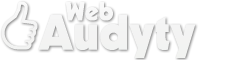 Web Audyty